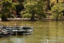 Boating in Delhi