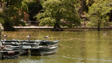 Boating in Delhi