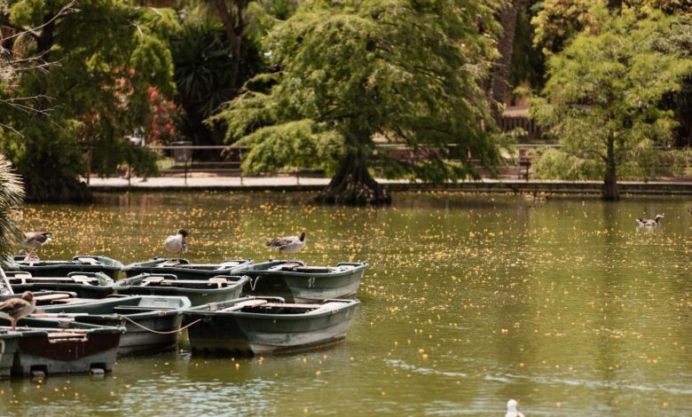 Boating in Delhi